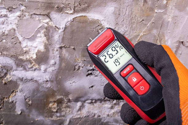 Best Mold Damage Repair  in Westby, WI