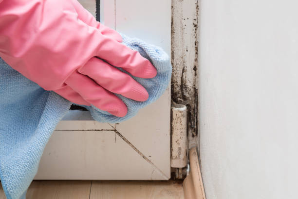 Best Crawl Space Mold Removal  in Westby, WI